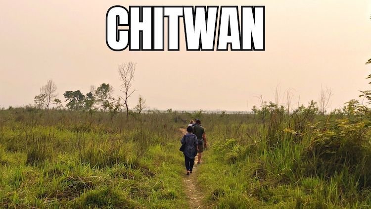 Best Places To Visit in Chitwan, walking in national park