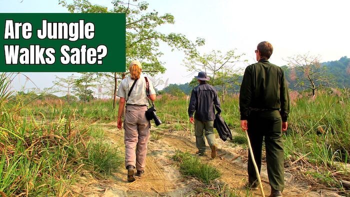 Are Jungle Walks Safe in Chitwan?