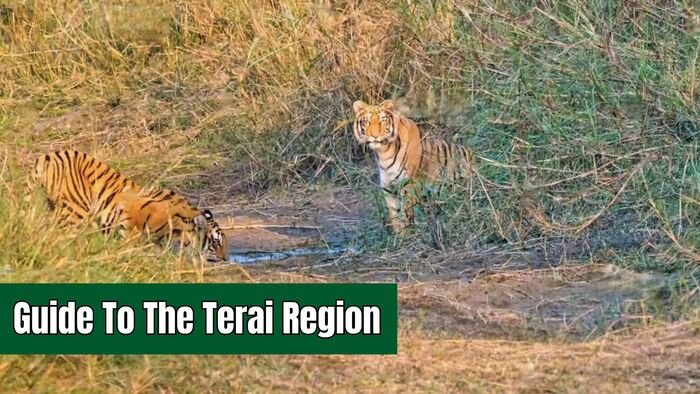 Travel Guide To The Terai Region
