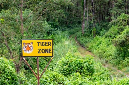 Tiger Zone in Chitwan National Park, 5 day itinerary for chitwan