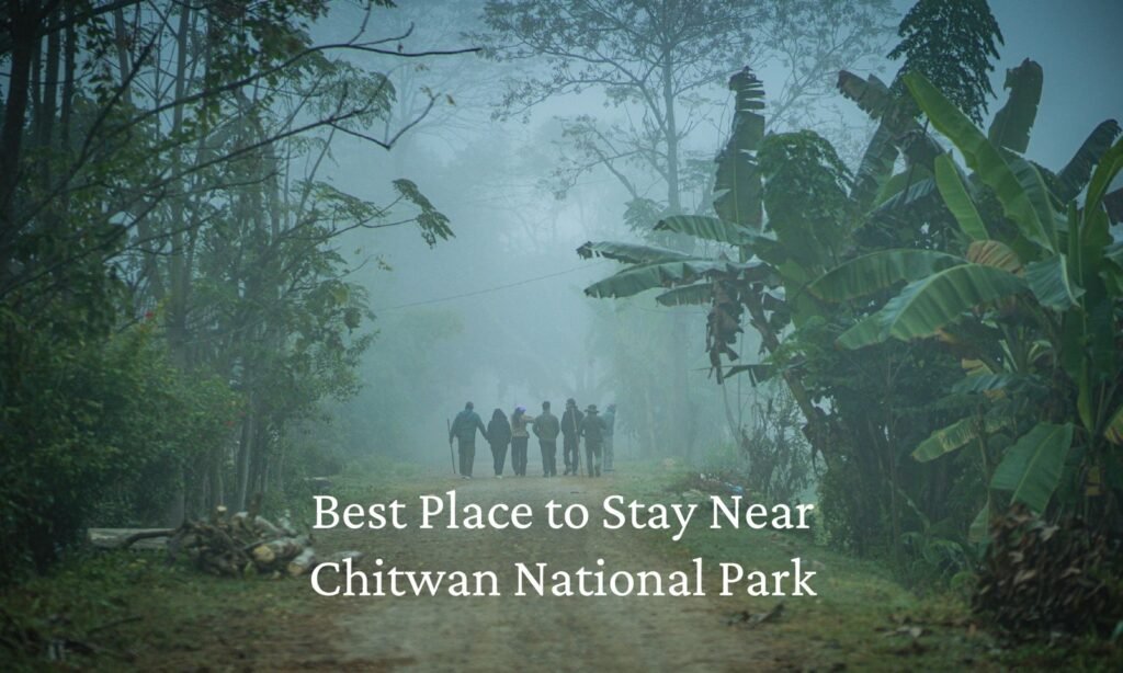Best Place to Stay Near Chitwan National Park