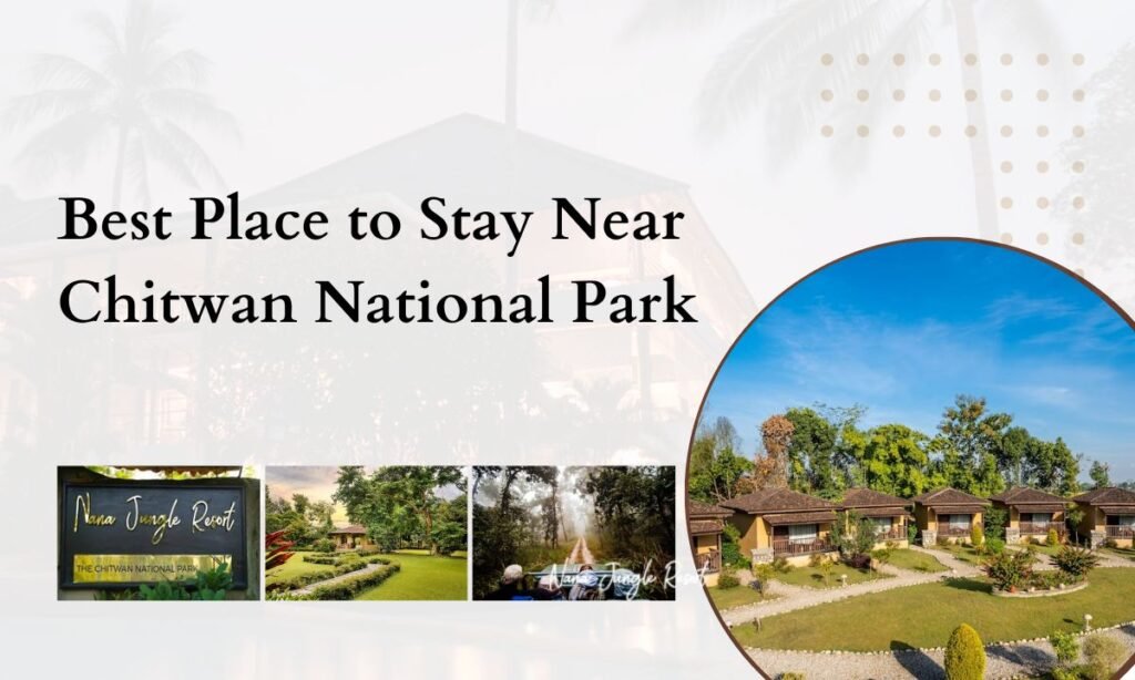 Best Place to Stay Near Chitwan National Park