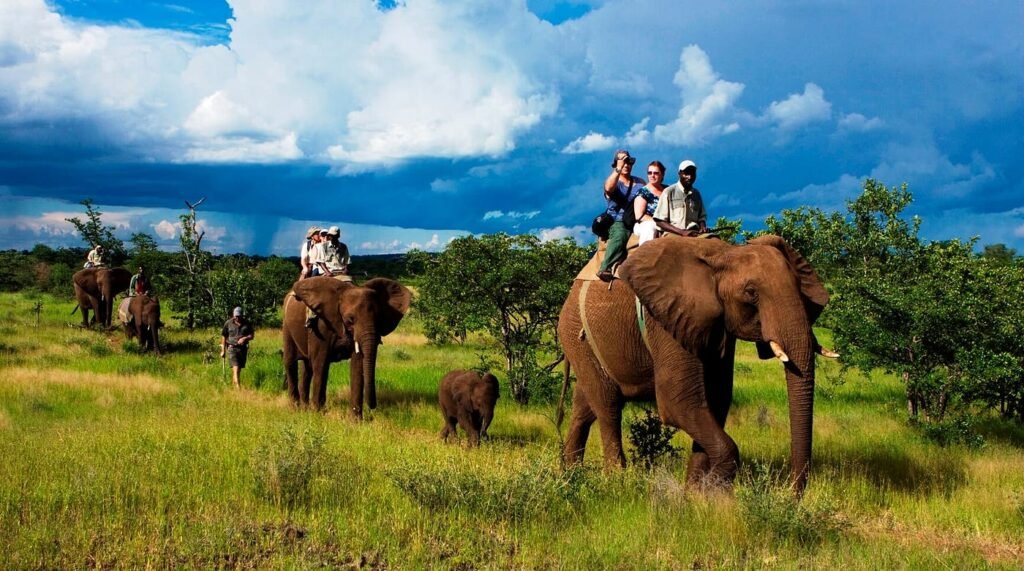 Elephant Safari in Chitwan National Park