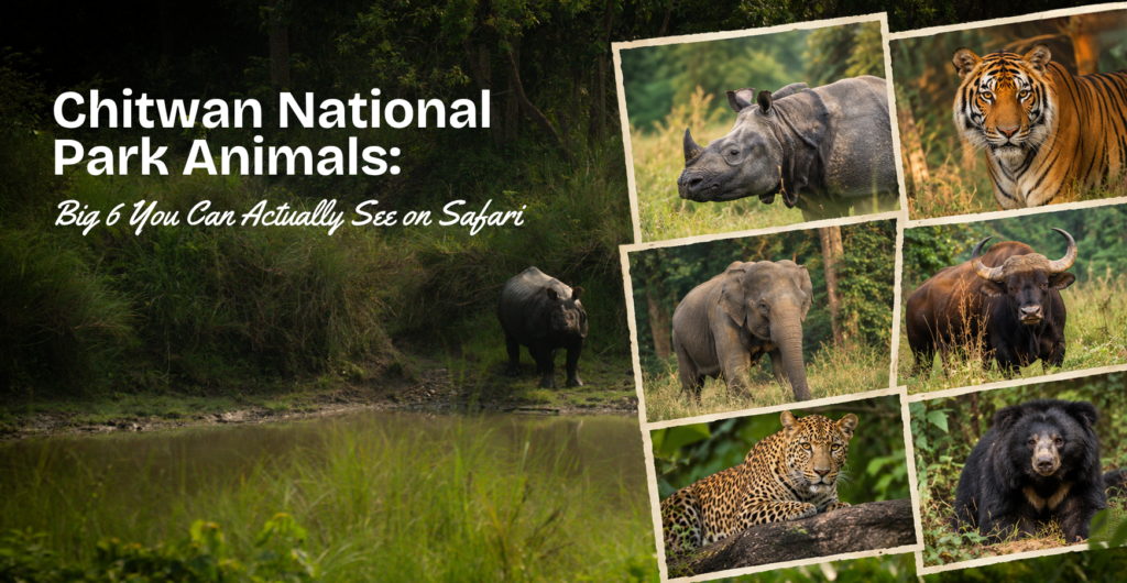 Chitwan National Park Animals Big 6 Animals