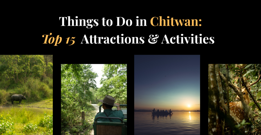 Things to do in Chitwan